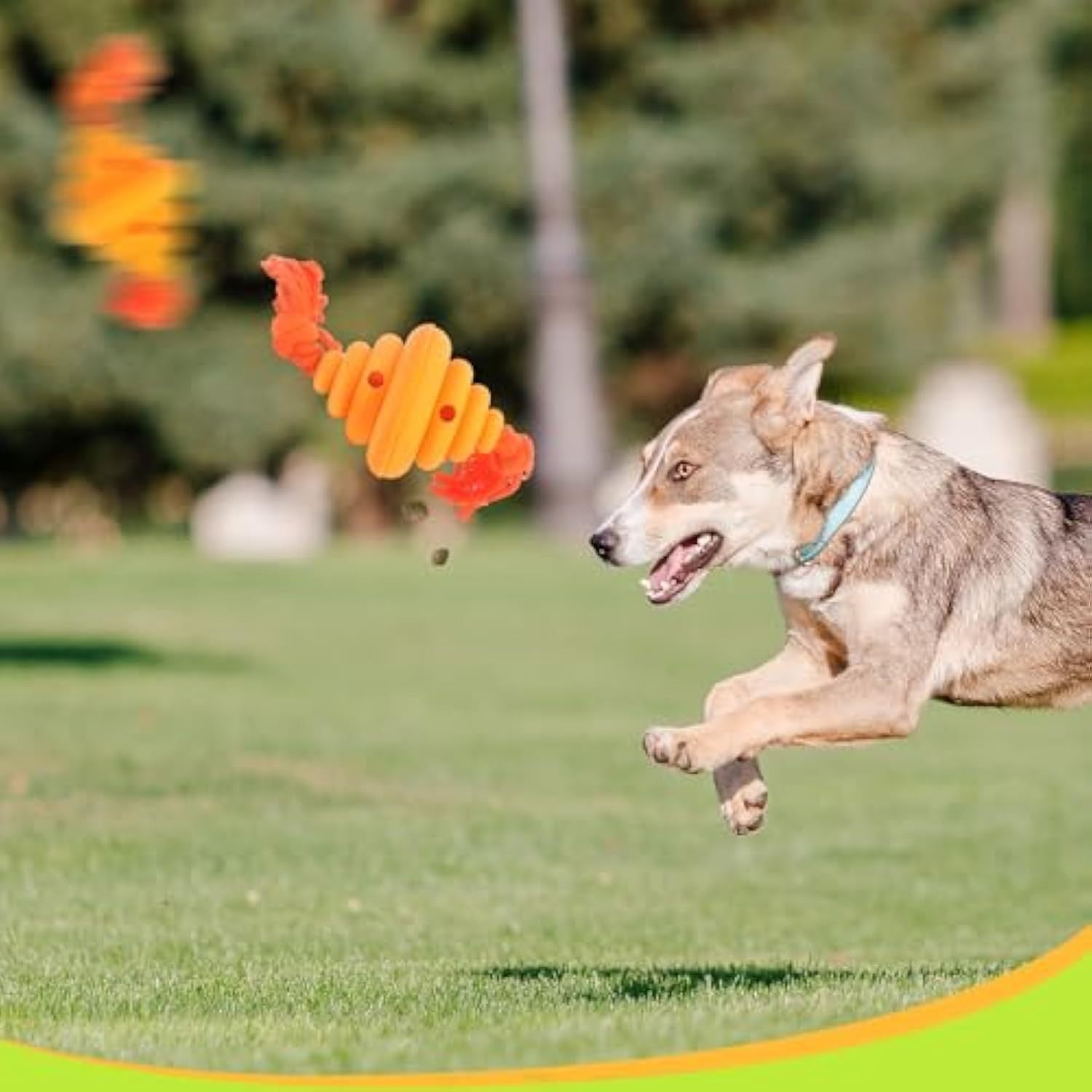 Engaging Playtime with the Dog Ball With Rope Toy
